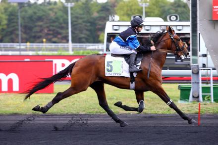 Les récents gagnants : Etonnant la réussite de Timoko!