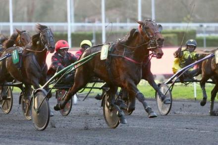 Les récents gagnants : Niky père de 3 vainqueurs à Vincennes ! 