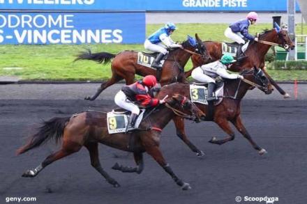 Les gagnants du Haras de Sassy du 03/02 au 16/02//2020