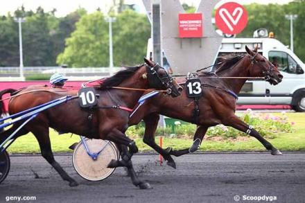 Les gagnants du Haras de Sassy du 10/06 au 16/06/2019