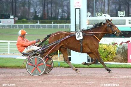 Les gagnants du Haras de Sassy du 11/03 au 17/03/2019