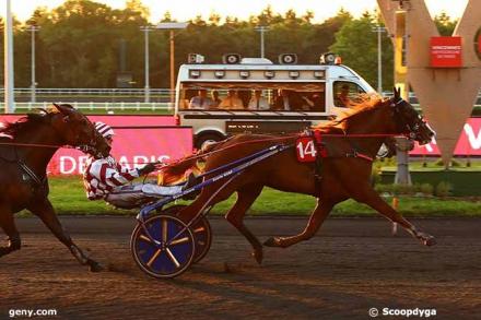 Les gagnants du Haras de Sassy du 27/05 au 02/06/2019