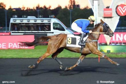 Les gagnants du Haras de Sassy du 29/04 au 05/05/2019