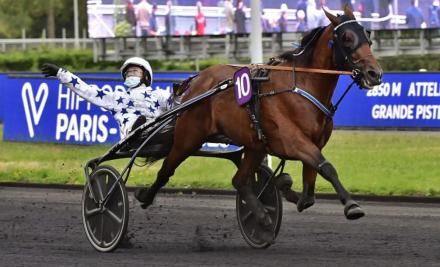 LE GRAND VAINQEUR DU CRITERIUM DES 4 ANS ETALON AU HARAS DE SASSY 