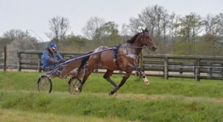 Les gagnants du Haras de Sassy du 08/04 au 14/04/2019