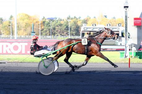 Les derniers gagnants : des Groupes pour les Niky et Timoko.