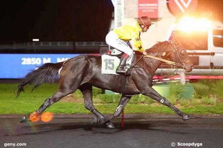 Les gagnants du Haras de Sassy du 07/10 au 13/10//2019