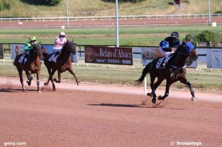 Les gagnants du Haras de Sassy du 01/06 au 07/06/2020