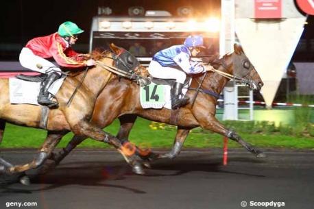 Les gagnants du Haras de Sassy du 19/11 au 24/11/2019